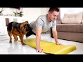 The Funniest Workout with a German Shepherd!