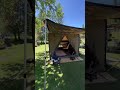 Another epic weekend setup with Oztent. 😍
