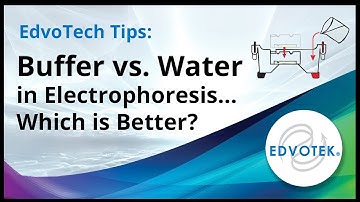 EdvoTech Tips:  Buffer versus Water in Electrophoresis.  Which is better?