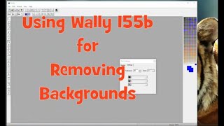 Fierce Tiger shows how to use Wally 155b for Invisible Background