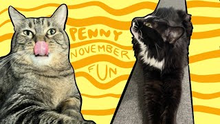 Join our family for crazy Penny adventures this last month!