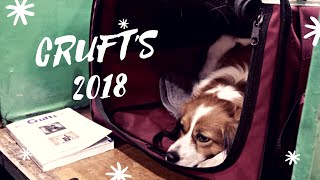 VLOG : Crufts 2018 // Kooikerhondje by AndyWho11th 513 views 6 years ago 2 minutes, 52 seconds