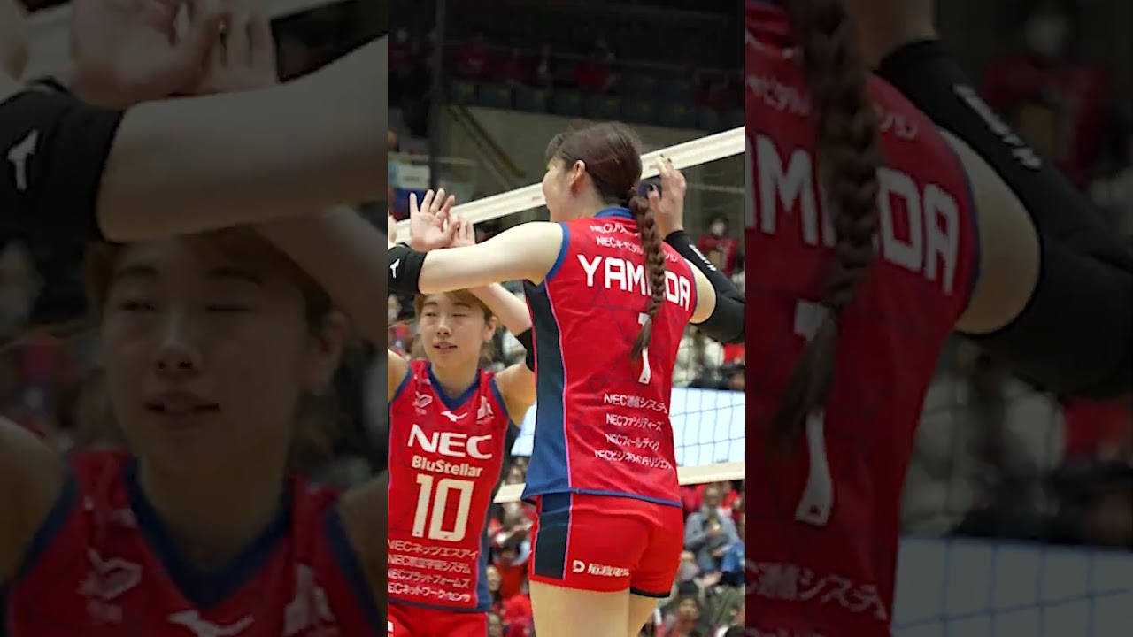 2026-27 大同生命SV.LEAGUE WOMEN開幕直前クラブ紹介！ #NECレッドロケッツ川崎
