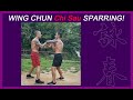 Wing chun sparring chisau done at speed