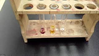 Halogen Lab   CES