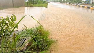 From Street To Bin Complete Trash Collection During Culvert Unclogging Process