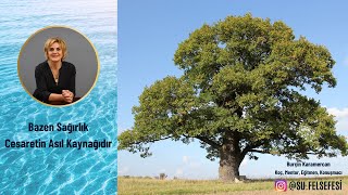 Bazen Sağırlık Cesaretin Asıl Kaynağıdır💧