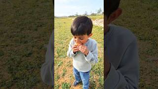 شوفوا اللهط على اصوله     برهوم الاصلي  تصميمي سمعها