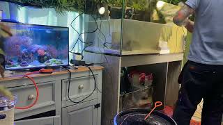 Timelapse of setting up DD AquaReef Pro 1200
