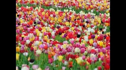 279A Three Major Principles