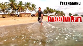 NAK MENJALA IKAN PELATA KENA TURUN AWAL PAGI! | Traditional Cast Net Fishing