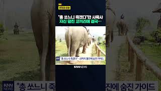 사파리 현장서 코끼리 돌진 사고 가이드 끝내 총 대신 '대치' 선택 / KNN