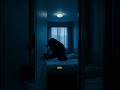 The Attic Rang at 2:13 AM #mystery #creepyshorts #horrorshorts #mysteryshorts #scarystories