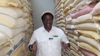 Mealie meal exports to the DRC have officially started under a structured national programme