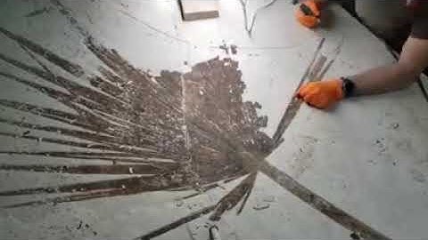 Preparing A Fossil Palm 😳 🌴  Hyperlapse Part 2