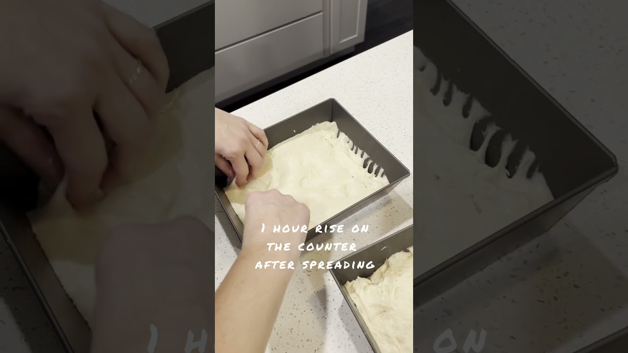 Pizza Start Up ~ 4th round dough 