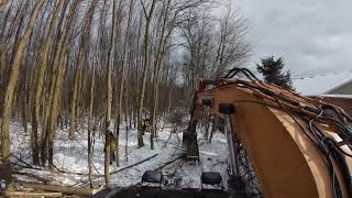 Tree Clearing - Excavator Vs Trees by Demolition Man Mike 666 views 3 months ago 55 minutes