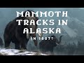 Mammoth Tracks in Alaska in 1887?
