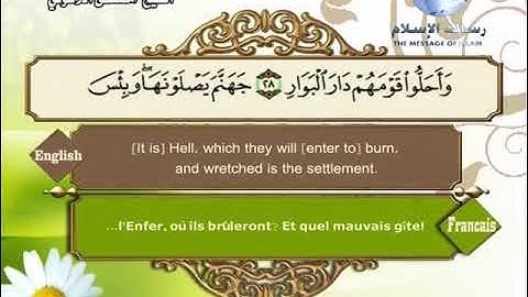 014- سورة إبراهيم ( القارئ مصطفى اللاهونى)