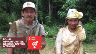 Forestería para el desarrollo sostenible:  Detrás de la estrategia de CIFOR 2016 -2025 (video en inglés)
