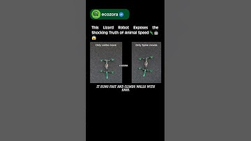 🦎Lizard Robot Reveals Secret to Ultimate Climbing Speed 🚀 #robotics #science #innovation #technology