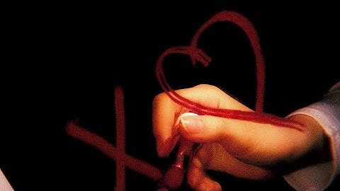 5an - pda (official visualizer)