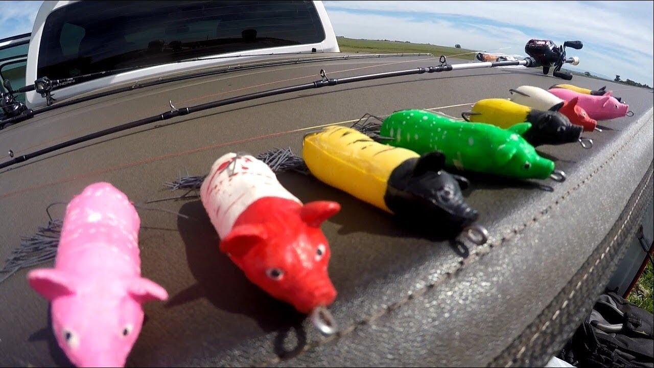 RESULTADO SORTEIO isca Bacon Bait Monster Pesca e Traíra na Linha