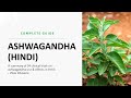 Ashwagandha - A Complete Guide in Hindi