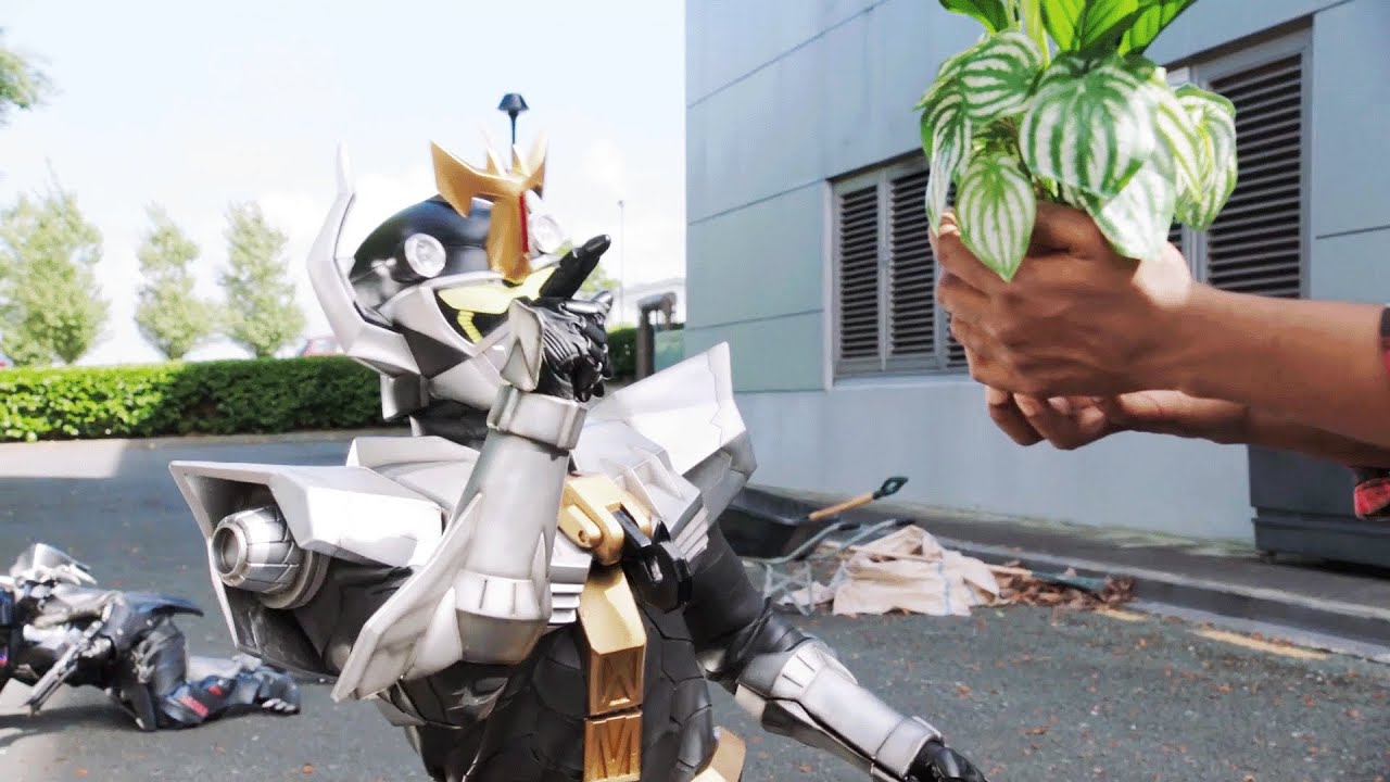 El Poder De Las Plantas 🐅 Beast Morphers ⚡ Power Rangers Para Niños