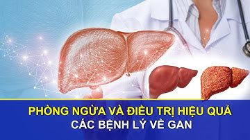 Phòng ngừa và điều trị hiệu quả các bệnh lý về gan | Sức khoẻ vàng VTC16