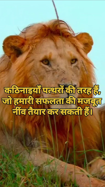 Motivational quotes #Motivation#Quotes#Inspiration#DailyMotivation#Success#PositiveVibes#Shorts
