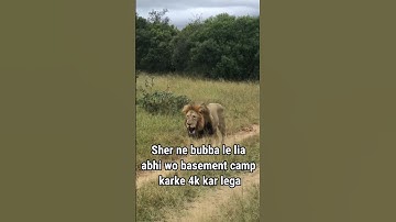 DBD memes 🗿 #leatherface #texaschaibsaw #dbdm #bubba #camper #basement