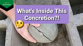 Cracking Open Concretions - Fossils found!