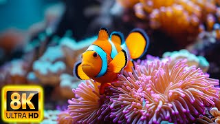 Aquarium 8K VIDEO ULTRA HD - Beautiful Relaxing Coral Reef Fish - Relaxing Sleep Meditation Music#31