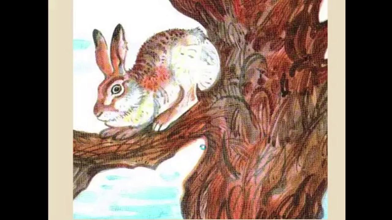 Заяц на дереве изложение