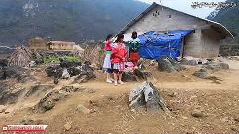 TẾT SỚM CỦA NGƯỜI H