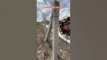 MS:25047 Chính chủ đất ở xa cần bán gấp góc 2 mặt tiền ôtô vuông dứt đẹp LH:0933585586#shorts