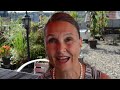 Interview Hauptstraße Anwohnerin & Initiatorin des Filmprojekts, Nadja Wellhöfer