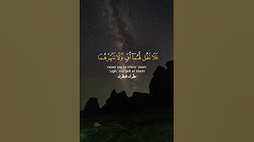 #تلاوات_مطرف_المطرف #القرآن_الكريم #المصحف #راحة_نفسية #السعودية #اكسبلور #ترند #لا_اله_الا_الله