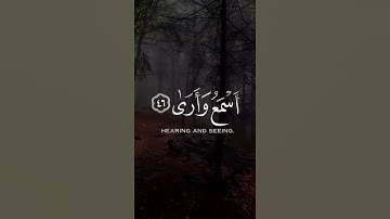 حالات واتس اب دينية❤️ //مقاطع دينية قصيرة مقاطع انستقرام دينية💙 //القارئ عبيدة موفق🌼