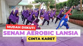 SENAM AEROBIC LANSIA MUDAH DIIKUTI