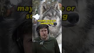Eating a Wolf Joe Rogan #joerogan #podcast #meat #hunting