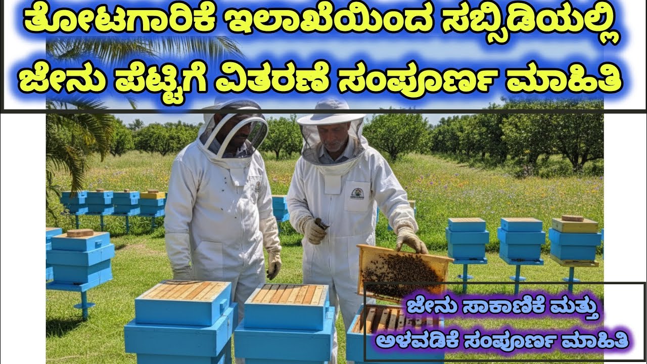ತೋಟಗಾರಿಕೆ ಇಲಾಖೆಯಿಂದ ಸಬ್ಸಿಡಿಯಲ್ಲಿ ಜೇನು ಪೆಟ್ಟಿಗೆ ವಿತರಣೆ, ಸಾಗಾಣಿಕೆ ಮತ್ತು ಅಳವಡಿಕೆ ಬಗ್ಗೆ ಸಂಪೂರ್ಣ ಮಾಹಿತಿ.