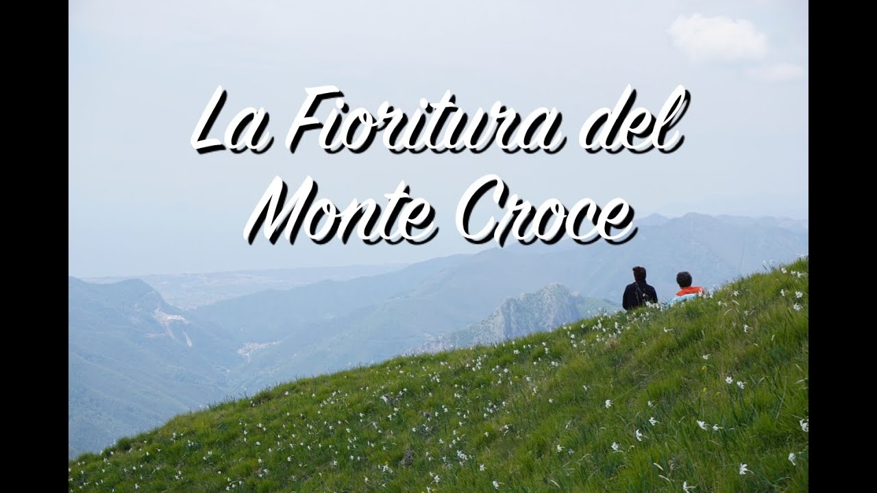 Click to Watch Video