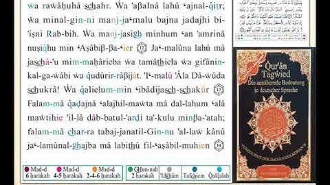 ختمة من مصحف التجويد باللغة الألمانية الصفحة رقم 429