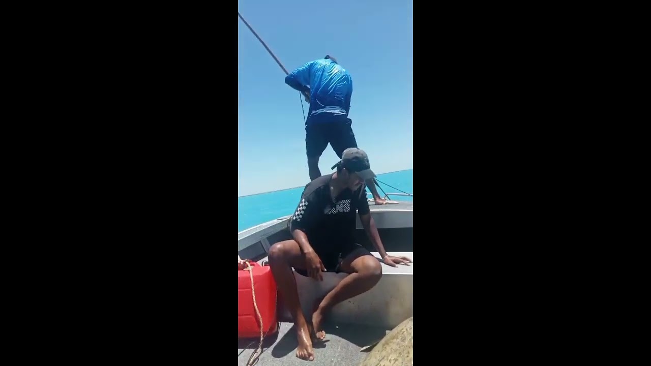 dugong hunting broome 🤣 YouTube