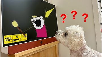 FIRST CANADIAN REVIEW Skyworth Companion P100 24” Portable TV - Surprisingly Good for Prime Day 2024