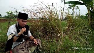 Hymne  PMII ( Pergerakan Mahasiswa Islam Indonesia)