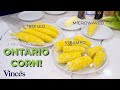 Deliciously sweet mastering the art of cooking ontario corn  easy stepbystep guide