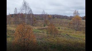 Немецкая военная узкоколейка в районе деревни Заречье Угранского района